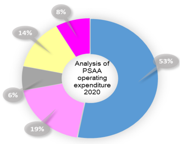 Graph of analysis of PSAA operating expenditure 2020