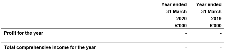 Statement of comprehensive income year ended 31 March 2019 and 31 March 2020